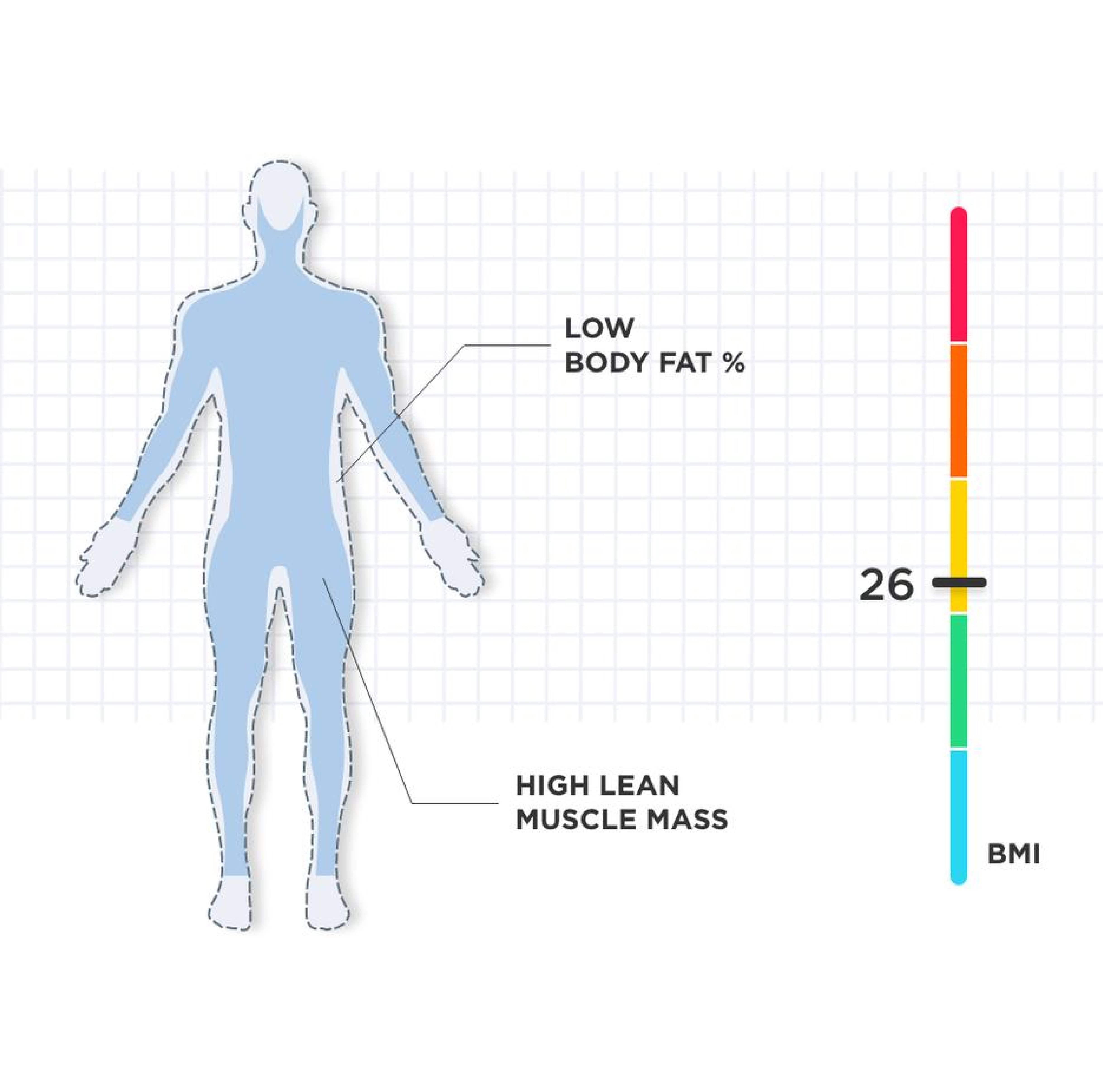 Higher muscle-to-fat ratio